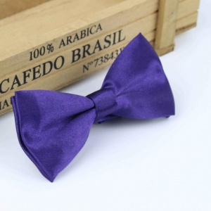 Boys Dark Purple Satin Bow Tie with Adjustable Strap